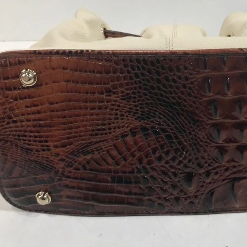 Brahmin gently used